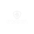auto-cliente-scania